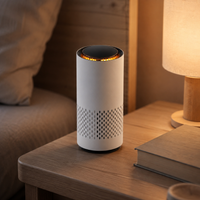 Sladdlös Mini Luftrenare