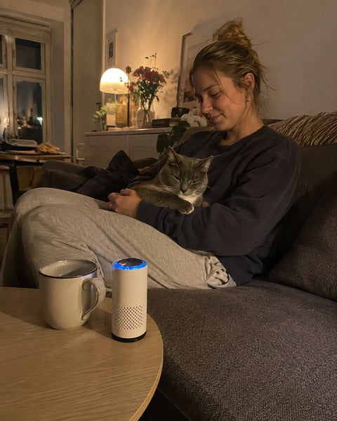 LullaAir™ Mini ved sofaen om aftenen med katten